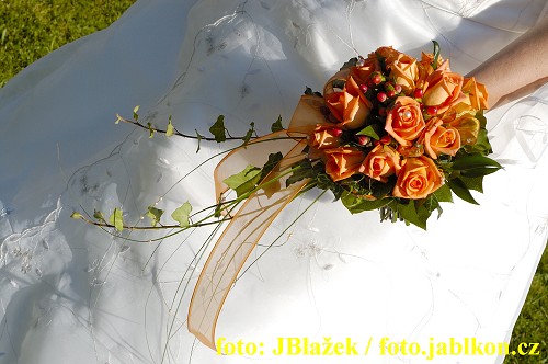 img00008.jpg