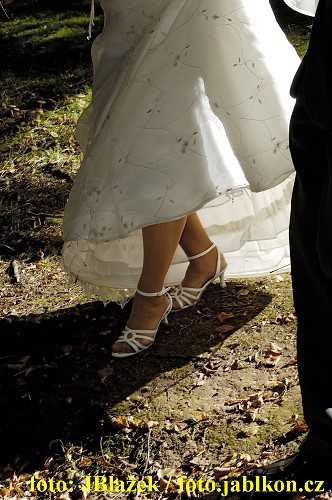 img00022.jpg