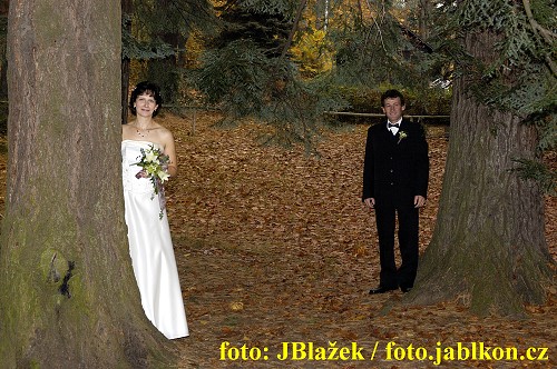 img00010.jpg