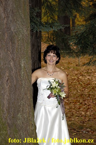 img00011.jpg