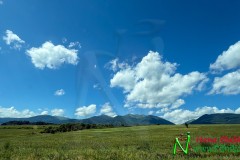 IMG_7852
