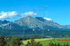 IMG_7943