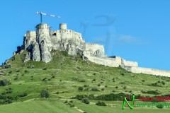 IMG_7962