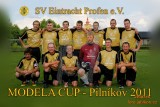 SV "Eintracht" Profen e.V.