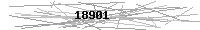 Verification Image