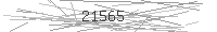 Verification Image
