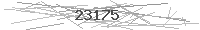 Verification Image