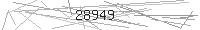 Verification Image